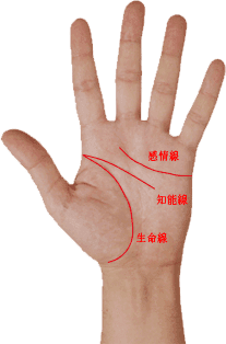 占いブログ 手相の基本