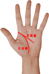 占いブログ 手相で見る相手の本性