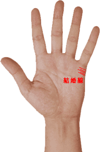 占いブログ【手相】結婚線の長さと向きで分かる!あなたの結婚幸せ度