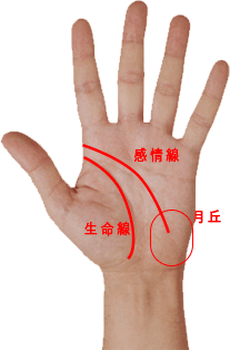 手相　知能線と生命線が重ならない