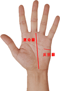手相　運命線と反抗線