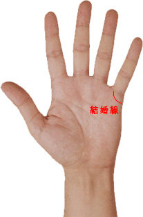 手相 結婚線　独身