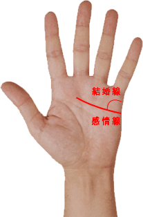 手相 結婚線 感情線　未亡人
