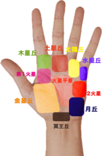 手相　丘 木星丘 土星丘　金星丘