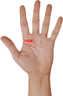手相　知能線　短い